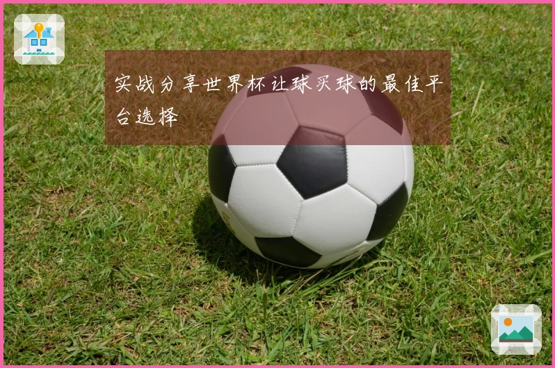实战分享世界杯让球买球的最佳平台选择