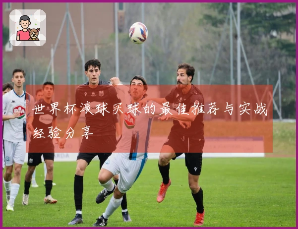 世界杯滚球买球的最佳推荐与实战经验分享
