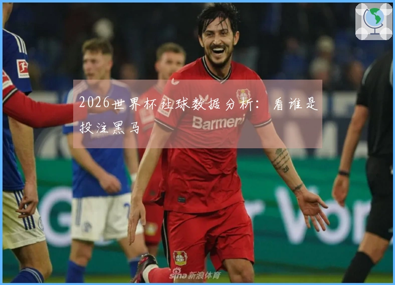 2026世界杯让球数据分析：看谁是投注黑马
