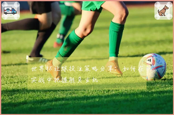 世界杯让球投注策略分享：如何在实战中把握胜负玄机
