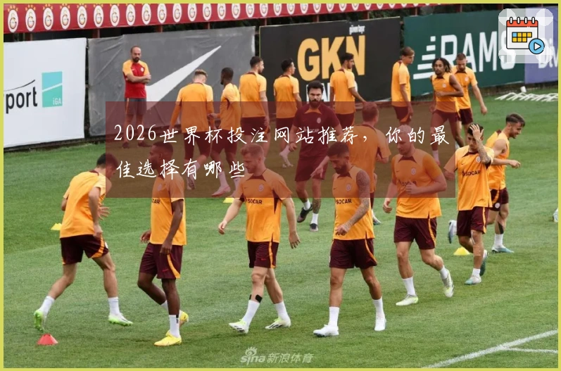 2026世界杯投注网站推荐，你的最佳选择有哪些