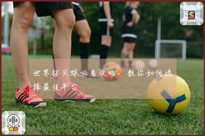 世界杯买球必看攻略，教你如何选择最佳平台