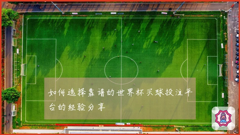 如何选择靠谱的世界杯买球投注平台的经验分享
