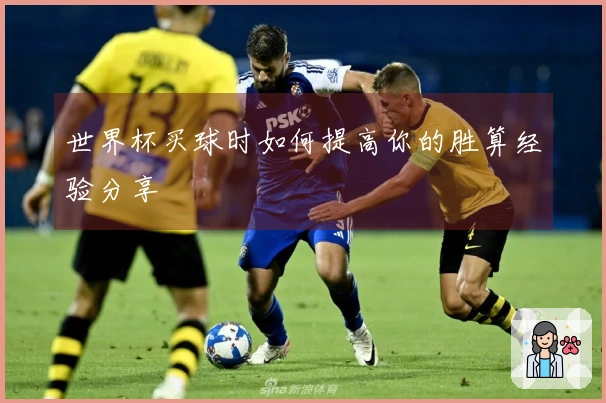 世界杯买球时如何提高你的胜算经验分享