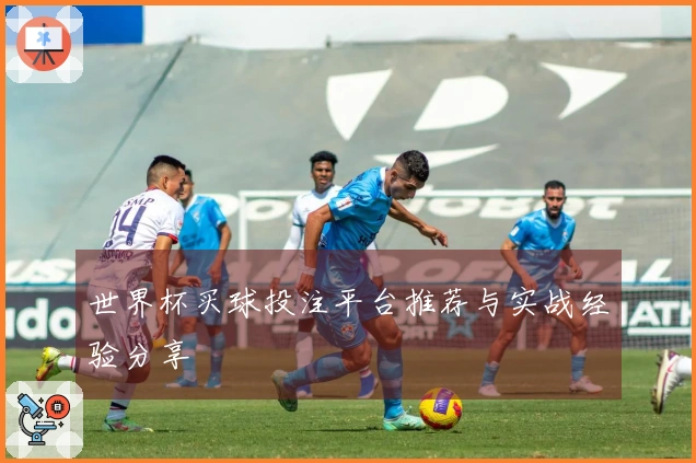 世界杯买球投注平台推荐与实战经验分享