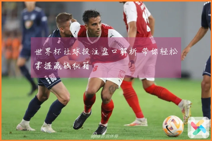 世界杯让球投注盘口解析 带你轻松掌握赢钱秘籍