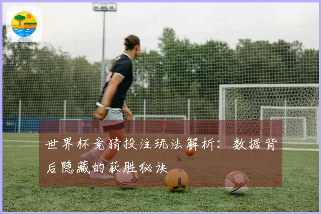 世界杯竞猜投注玩法解析：数据背后隐藏的获胜秘诀