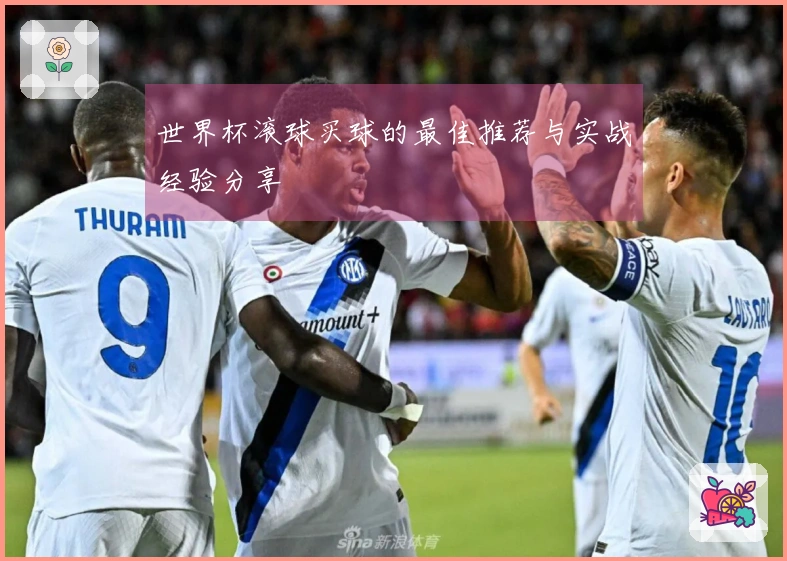 世界杯滚球买球的最佳推荐与实战经验分享