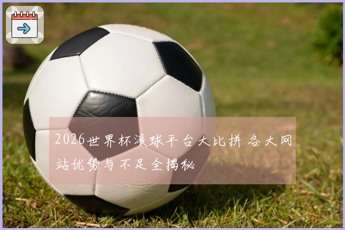 2026世界杯滚球平台大比拼 各大网站优势与不足全揭秘