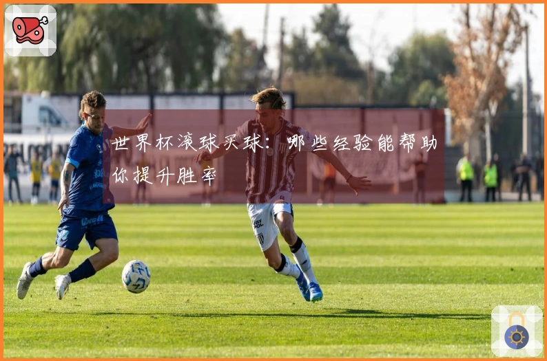 世界杯滚球买球：哪些经验能帮助你提升胜率