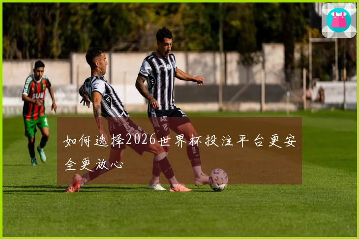 如何选择2026世界杯投注平台更安全更放心