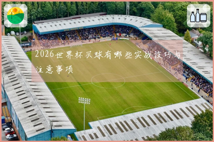 2026世界杯买球有哪些实战技巧与注意事项