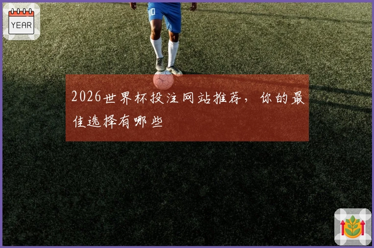 2026世界杯投注网站推荐，你的最佳选择有哪些